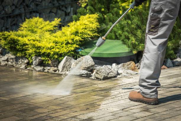Best Dumpster Area Cleaning  in Somerton, AZ